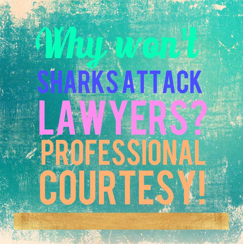 Your Lawyer- ‘The Shark’