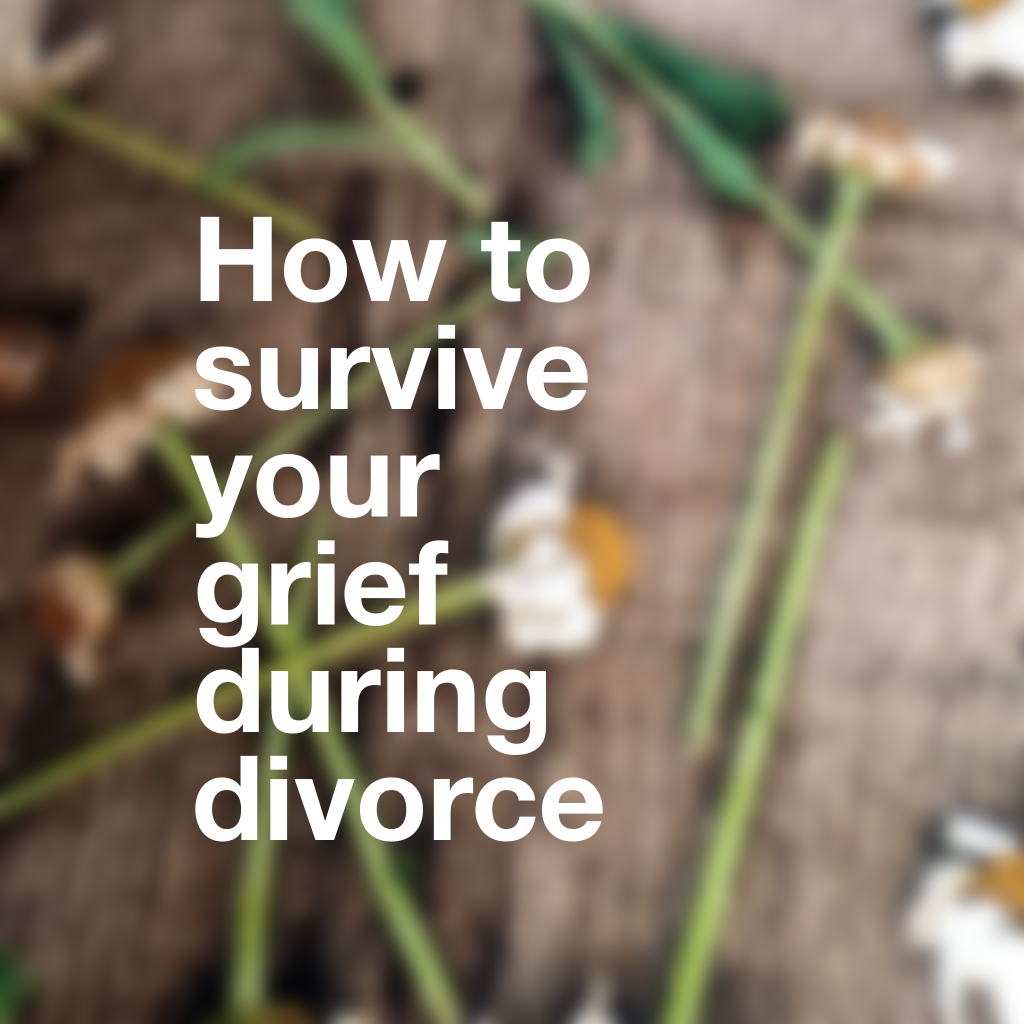 How to survive your grief during Divorce.